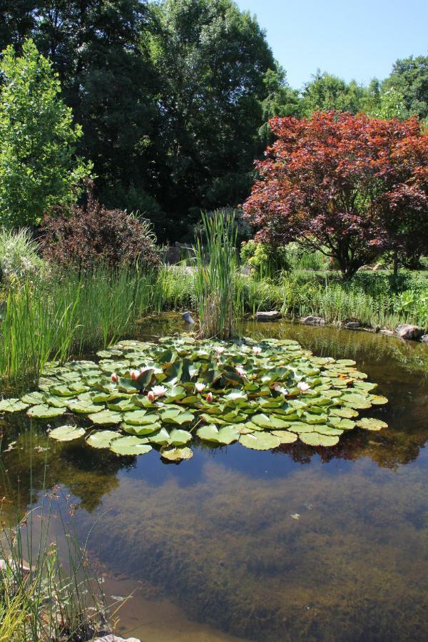 FeWo - Wohlfühlambiente&Gartenparadies Modautal Exterior foto