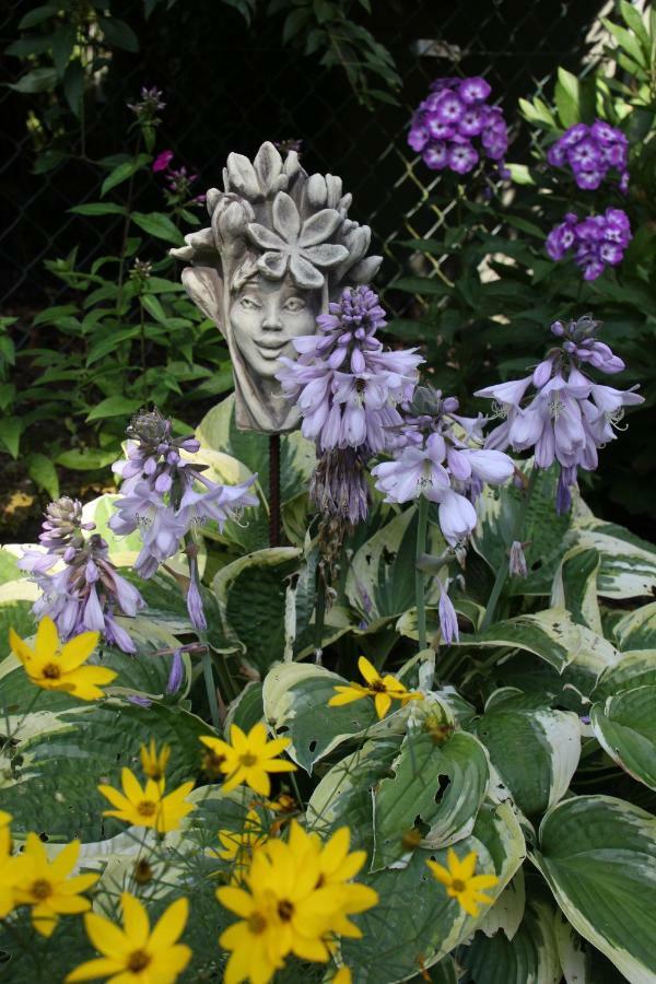 FeWo - Wohlfühlambiente&Gartenparadies Modautal Exterior foto